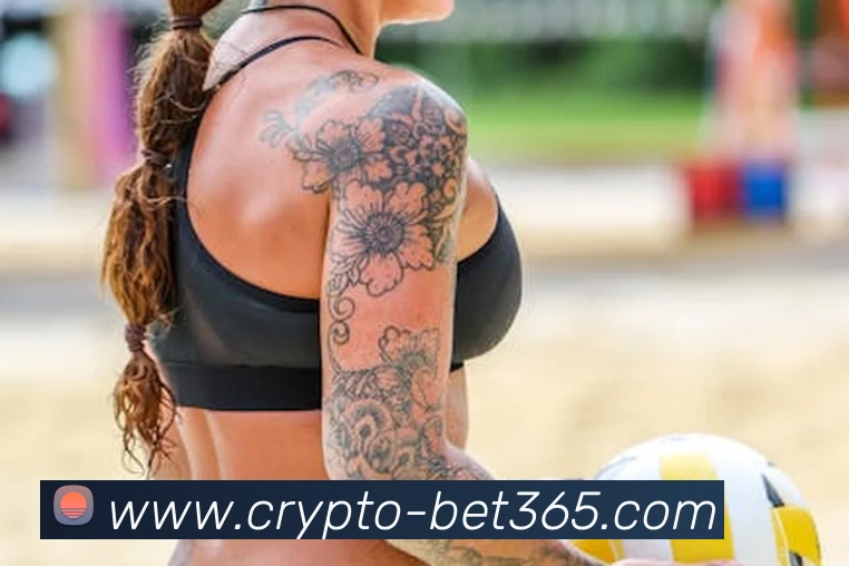 多媒体互动体验